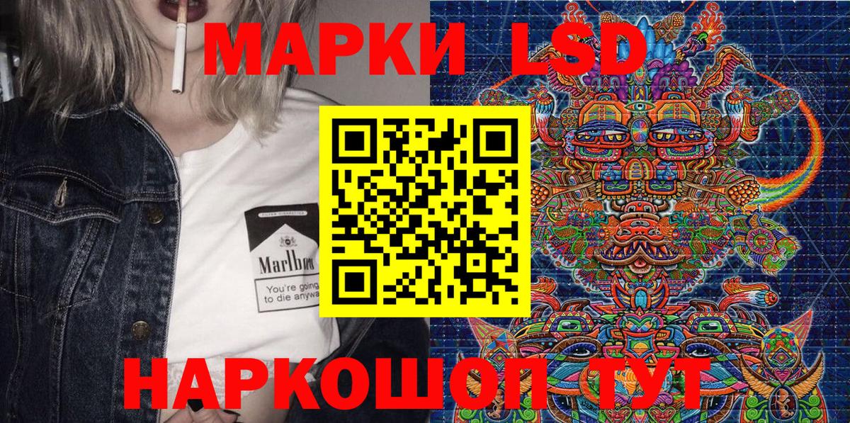 APVP Сосновый Бор
