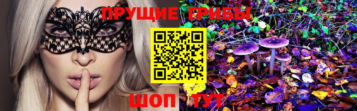 Псилоцибиновые грибы MAGIC MUSHROOMS  наркошоп  Сосновый Бор  Вход с VPN 